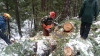 Snow and tree mortality event March 2019