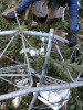 Snow and tree mortality event March 2019