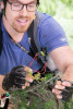 Dwarf Mistletoe Survey 2019