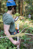 Forests of Oregon Elevation Gradient (FOREG) 2019