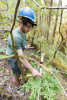 Forests of Oregon Elevation Gradient (FOREG) 2019