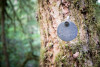 Forests of Oregon Elevation Gradient (FOREG) 2019