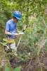 Forests of Oregon Elevation Gradient (FOREG) 2019