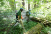 Forests of Oregon Elevation Gradient (FOREG) 2019