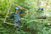 Forests of Oregon Elevation Gradient (FOREG) 2019