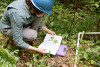 Forests of Oregon Elevation Gradient (FOREG) 2019