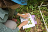 Forests of Oregon Elevation Gradient (FOREG) 2019