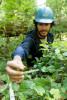 Forests of Oregon Elevation Gradient (FOREG) 2019