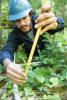 Forests of Oregon Elevation Gradient (FOREG) 2019