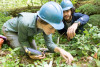 Forests of Oregon Elevation Gradient (FOREG) 2019