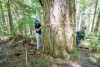 Forests of Oregon Elevation Gradient (FOREG) 2019