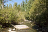 Lookout Creek Spatially Explicit Sampling of Aquatic Vertebrates