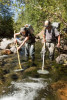 Lookout Creek Spatially Explicit Sampling of Aquatic Vertebrates