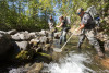Lookout Creek Spatially Explicit Sampling of Aquatic Vertebrates