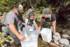 Lookout Creek Spatially Explicit Sampling of Aquatic Vertebrates