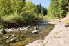 Lookout Creek Spatially Explicit Sampling of Aquatic Vertebrates