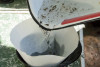 Lookout Creek Spatially Explicit Sampling of Aquatic Vertebrates