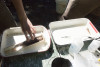 Lookout Creek Spatially Explicit Sampling of Aquatic Vertebrates