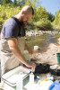 Lookout Creek Spatially Explicit Sampling of Aquatic Vertebrates