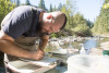 Lookout Creek Spatially Explicit Sampling of Aquatic Vertebrates