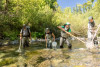 Lookout Creek Spatially Explicit Sampling of Aquatic Vertebrates