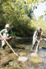 Lookout Creek Spatially Explicit Sampling of Aquatic Vertebrates
