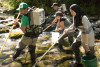 Lookout Creek Spatially Explicit Sampling of Aquatic Vertebrates