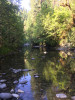 Lower Lookout 2019