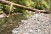 Stream Cross Section Study 2019