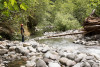 Stream Cross Section Study 2019
