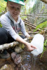 WS01 hydrology