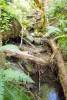 WS01 hydrology