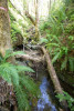 WS01 hydrology
