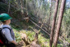 WS01 hydrology