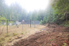Holiday Farm Fire 2020