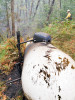Holiday Farm Fire 2020