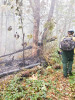 Holiday Farm Fire 2020