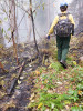 Holiday Farm Fire 2020