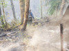Holiday Farm Fire 2020