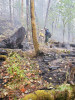 Holiday Farm Fire 2020