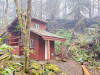 Holiday Farm Fire 2020