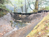Holiday Farm Fire 2020