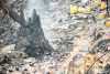 Holiday Farm Fire 2020