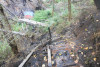 Holiday Farm Fire 2020