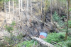 Holiday Farm Fire 2020