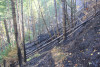 Holiday Farm Fire 2020