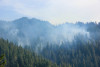 Holiday Farm Fire 2020