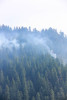 Holiday Farm Fire 2020