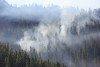 Holiday Farm Fire 2020