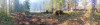 Holiday Farm Fire 2020
